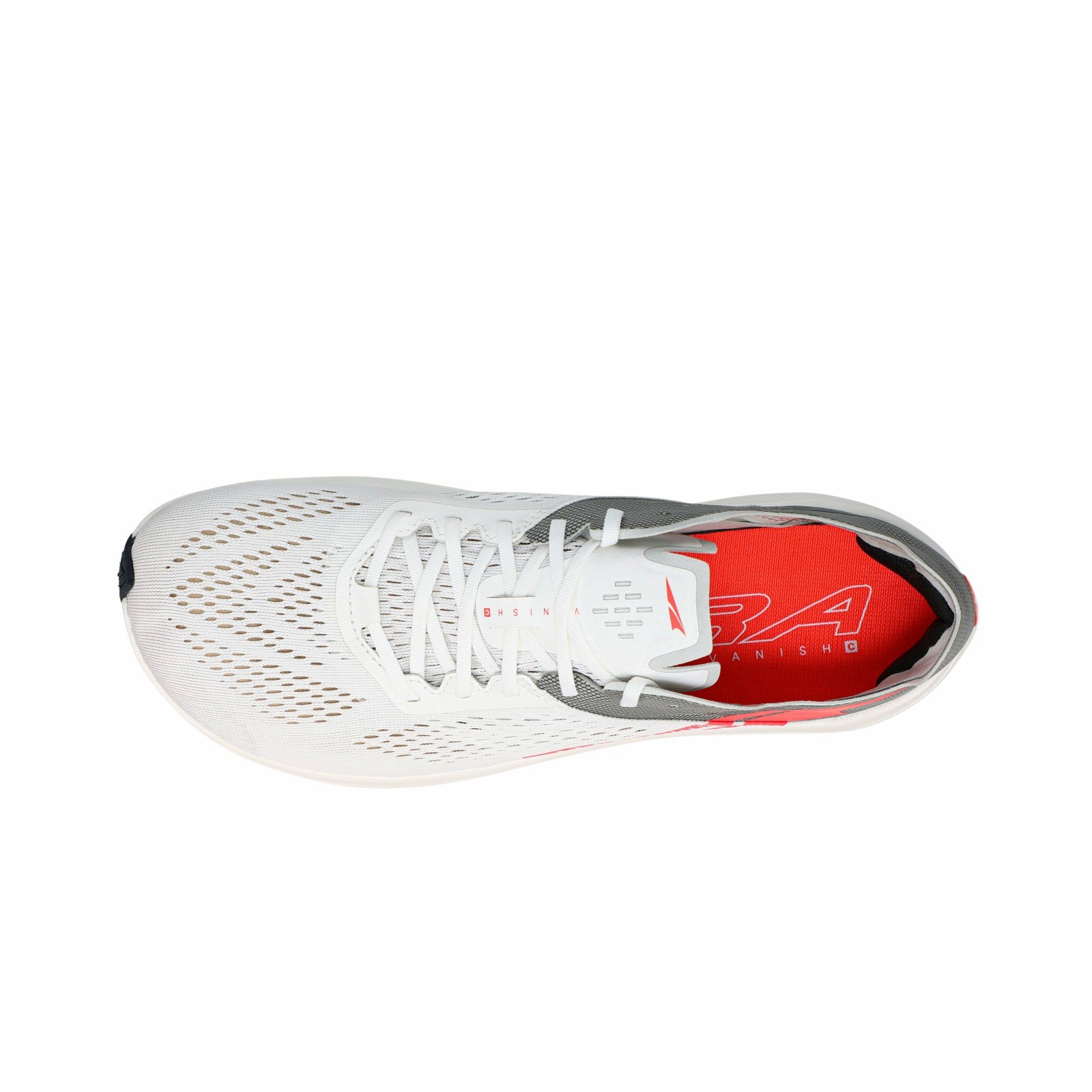 Women's Vanish Carbon | Altra Running Trending